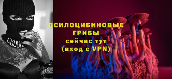 соль ск Балабаново
