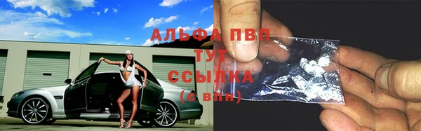 стаф Баксан