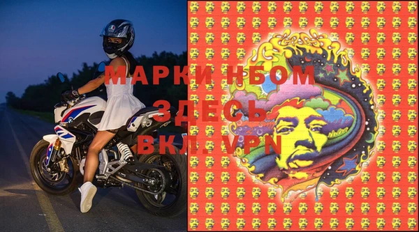 стаф Баксан