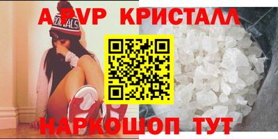 спайс Гай
