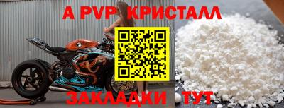 спайс Гай