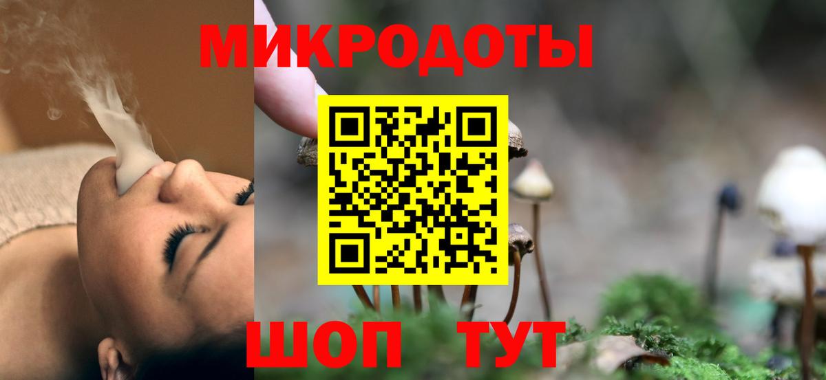 Реутов  Псилоцибиновые грибы Psilocybine cubensis  Вход с VPN 