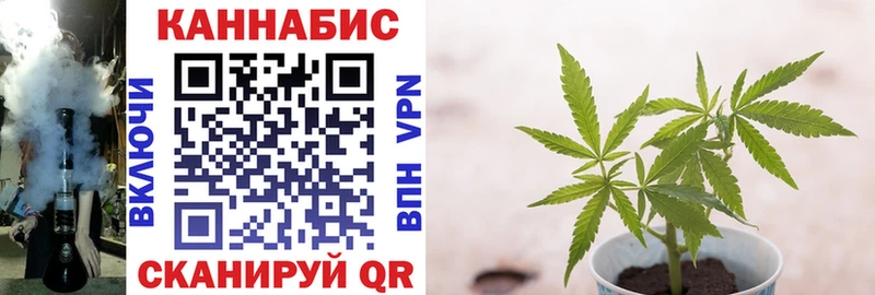 Марихуана Bruce Banner дарк нет наркотические препараты Реутов