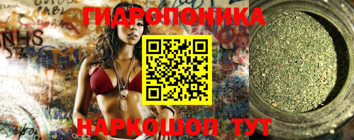 Бошки Шишки Amnesia Реутов